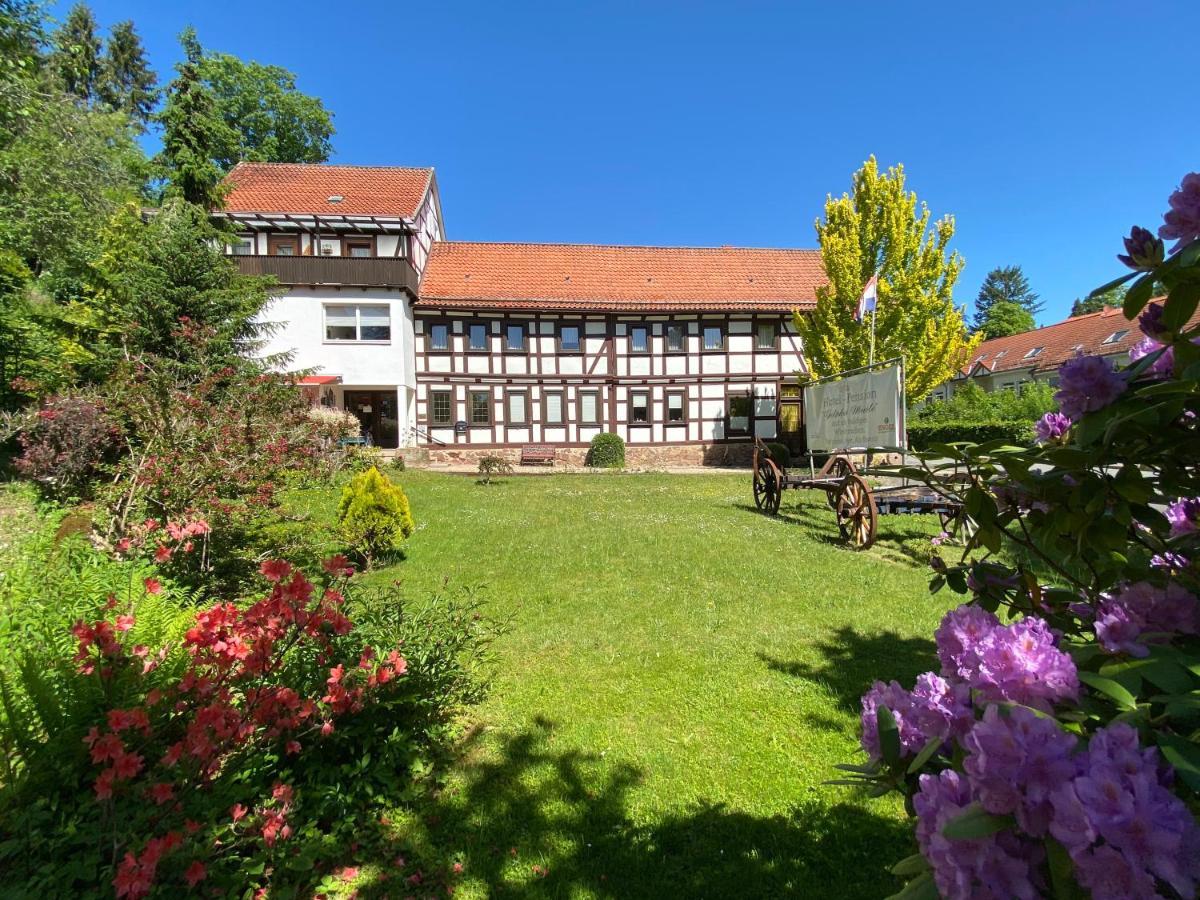 Hotel Pension Gelpkes Muehle Bad Sachsa Exterior foto